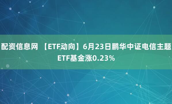 配资信息网 【ETF动向】6月23日鹏华中证电信主题ETF基金涨0.23%