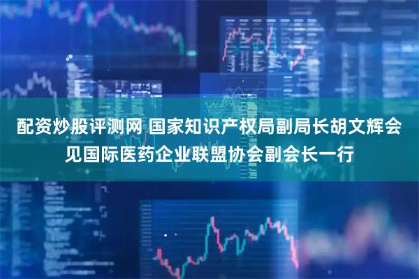 配资炒股评测网 国家知识产权局副局长胡文辉会见国际医药企业联盟协会副会长一行